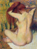 Woman Combing Her Hair Poster Print by Edgar Degas # 55438