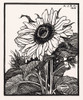 Sunflower Poster Print by Julie De Graag # 55511