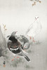 Three pigeons Poster Print by Ohara Koson # 55348