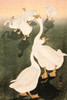 Geese Poster Print by Ohara Koson # 55360