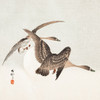 Geese and Full Moon Poster Print by Ohara Koson # 55361