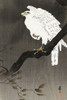 Snowy eagle on a tree branch Poster Print by Ohara Koson # 55219