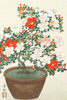 Blooming azalea in brown pot Poster Print by Ohara Koson # 55143