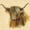 Highland Animal Cow Poster Print by Silvia Vassileva # 55086