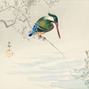 A kingfisher Poster Print by Ohara Koson # 55148