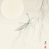 Praying mantis�_ Poster Print by Ohara Koson # 55227