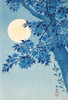 Blossoming Cherry on a Moonlit Night Poster Print by Ohara Koson # 55149