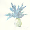 Plant Eucalyptus III Poster Print by Chris Paschke # 55035