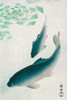 Carp or Koi�_ Poster Print by Ohara Koson # 55287