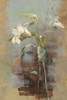 Contemporary LIlies II Poster Print by Danhui Nai # 5442