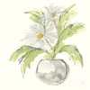 Plant Daisy II Poster Print by Chris Paschke # 55018