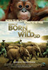 Born to Be Wild Movie Poster Print (27 x 40) - Item # MOVGB26783