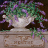 Paquet de Menthe Poster Print by Janet Kruskamp # 54246