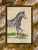 Zebra Poster Print by Janet Kruskamp # 54218