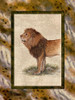 Lion Poster Print by Janet Kruskamp # 54220