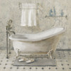 Victorian Bath III Neutral Poster Print by Danhui Nai # 54871