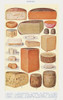 Cheeses Poster Print by Mrs. Beeton''s Book of Household Management Mrs. Beeton''s Book of Household Management # 54700