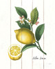 Cottage Lemon I Poster Print by Sue Schlabach # 53143