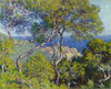 Bordighera Poster Print by Claude Monet # 53075