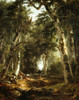 In the Woods Poster Print by Asher Brown Durand # 52917