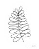 Doodle Palm III Poster Print by Farida Zaman # 52782