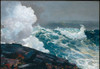 Northeaster Poster Print by Winslow Homer # 50808