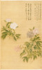 Peonies Poster Print by Yun Shouping # 50344