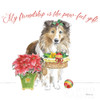 Holiday Paws III on White Poster Print by Beth Grove # 50883