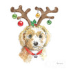 Holiday Paws VI on White Poster Print by Beth Grove # 50884