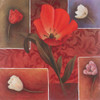 Red Tulip II Poster Print by Unknown Unknown # 4935