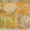 Seashell Collage Poster Print by Unknown Unknown # 4932