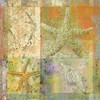 Starfish Collage Poster Print by Unknown Unknown # 4933