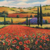Fields of Poppies II Poster Print by Unknown Unknown # 4973