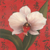Chinese Orchid on Red Poster Print by Unknown Unknown # 4929