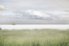 Wind in Favor Poster Print by Lars Van de Goor # 43474