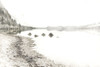 Taupe Lake Walk Poster Print by Irene Weisz # 43311