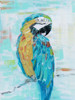 Island Parrot I Poster Print by Sally Swatland # 42588