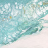 Ocean Patterns Poster Print by Carol Robinson # 42577