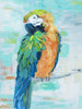 Island Parrot II Poster Print by Sally Swatland # 42589