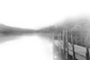 Mist on the Docks Poster Print by Carol Robinson # 42032