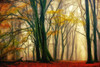 In Love with Fall Poster Print by Lars Van de Goor # 41930