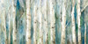 Birch River Walk Poster Print by Carol Robinson # 40588