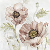 Washed Botanical IV Poster Print by Carol Robinson # 40822