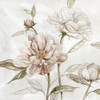 Washed Botanical II Poster Print by Carol Robinson # 40820