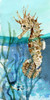Pacific Seahorse Poster Print by Carol Robinson # 41439
