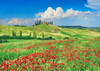 Farmhouse with Cypresses and Poppies- Val dOrcia- Tuscany  Poster Print by Frank Krahmer # 3FK5188