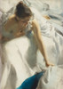 The Artists Wife Poster Print by Anders Zorn # 3AA5228