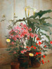 Side of a Greenhouse Poster Print by George Cochran Lambdin # 3AA5226