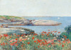 Poppies- Isles of Shoals Poster Print by Childe Hassam # 3AA5236