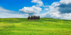 Cypresses- Val dOrcia- Tuscany Poster Print by Frank Krahmer # 2FK5186